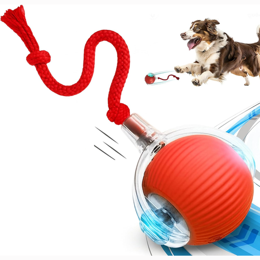 Pelota Interactiva con Velocidad